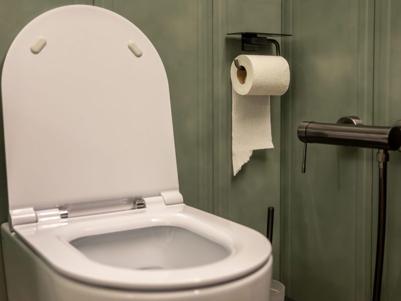 White toilet in a modern restroom with dark green walls, toilet paper and hygienic shower. Minimalist interior style.